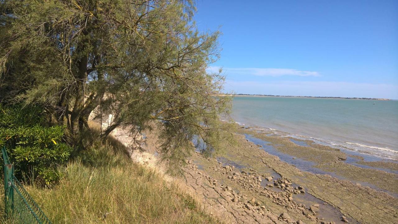 Le Carre Appartamento La Rochelle  Esterno foto